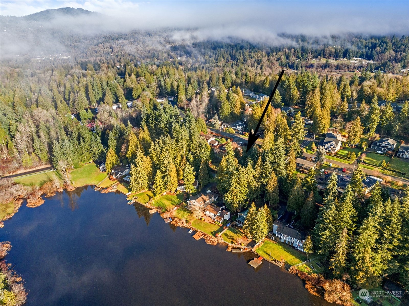 13433 191st Avenue Southeast Renton, WA 98059 - Photo 13 of 17 a view of a bunch of trees and houses