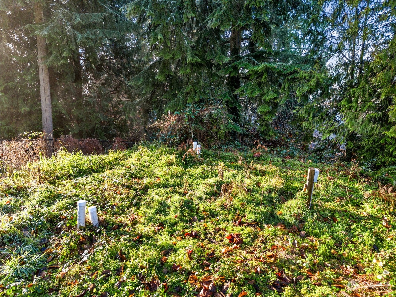 13433 191st Avenue Southeast Renton, WA 98059 - Photo 5 of 17