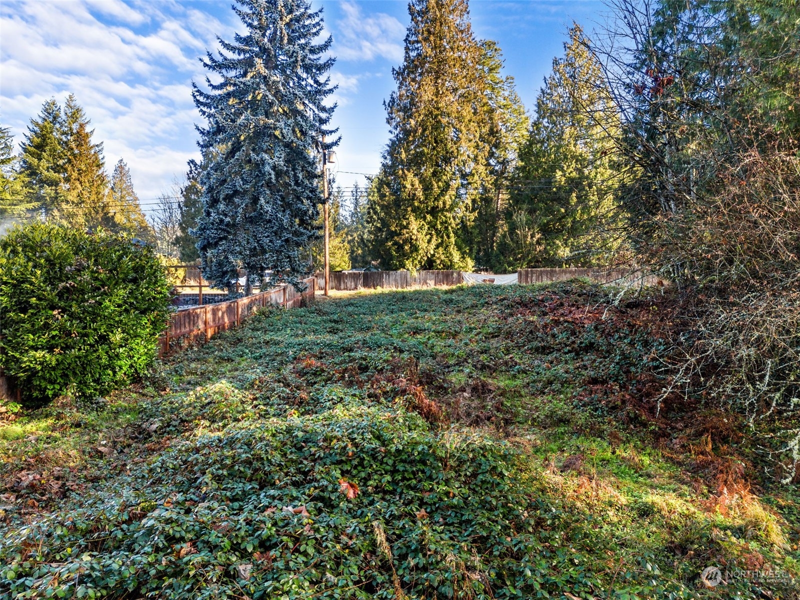 13433 191st Avenue Southeast Renton, WA 98059 - Photo 6 of 17 a view of a green field with lots of bushes