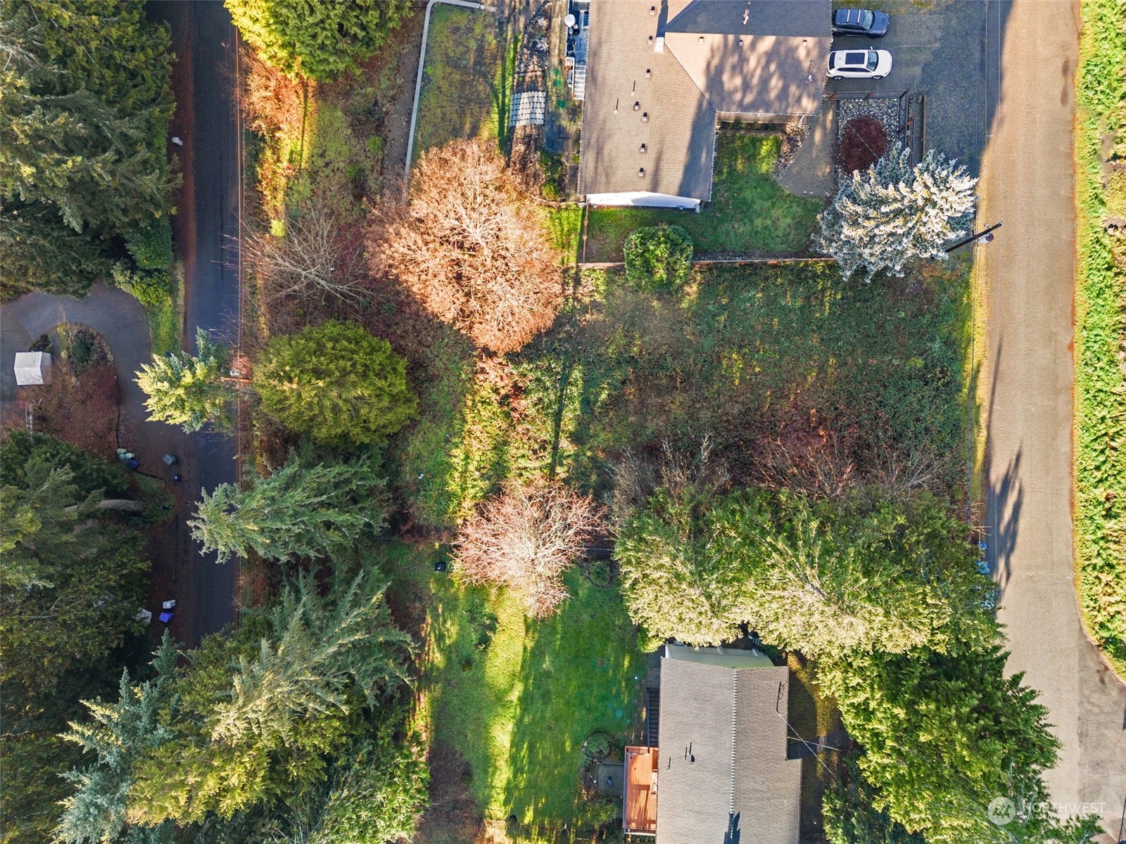 13433 191st Avenue Southeast Renton, WA 98059 - Photo 10 of 17 a view of a garden with plants