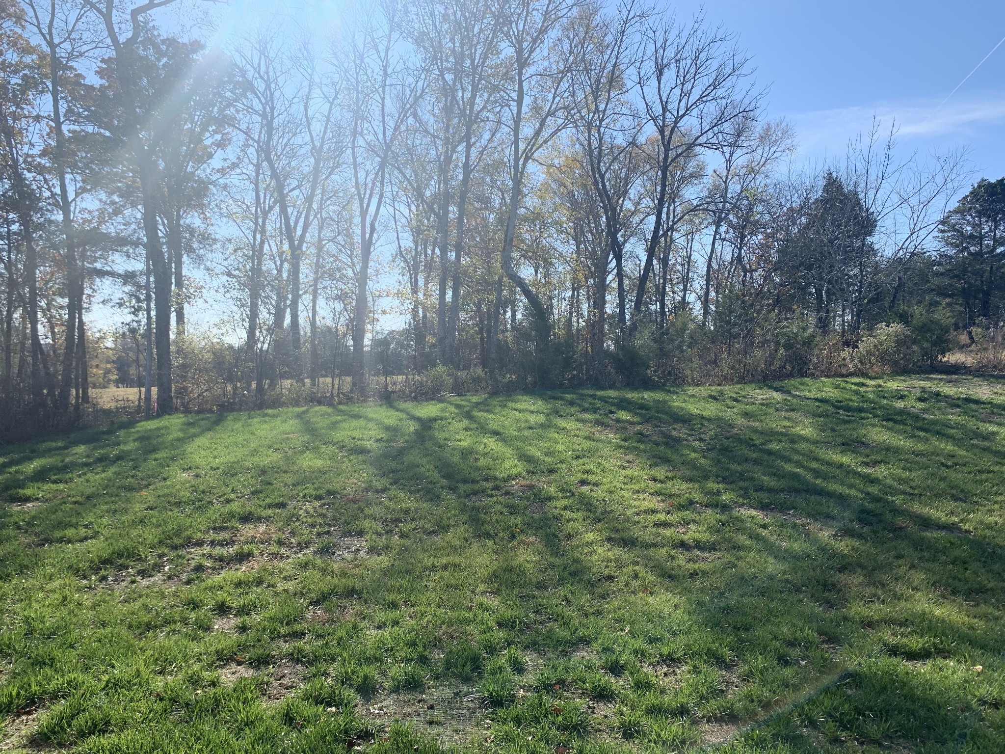 430 Butler Road Mount Juliet, TN 37122 - Photo 8 of 18 a view of a yard with large trees