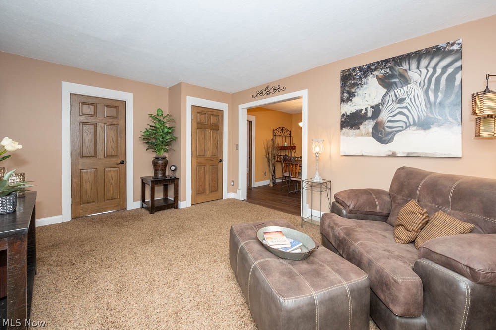 266 South Raccoon Road Youngstown, OH 44515 - Photo 5 of 26 Gallery Image 5