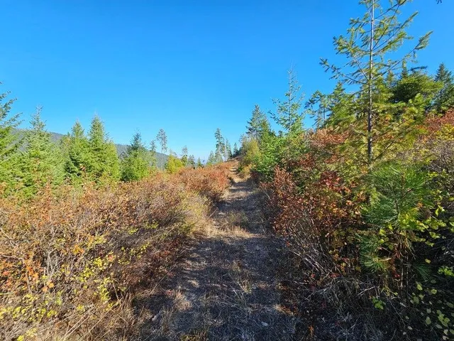 $149,900 | 25-xx Burgess Road, Unit PARCEL B, Addy, WA 99101