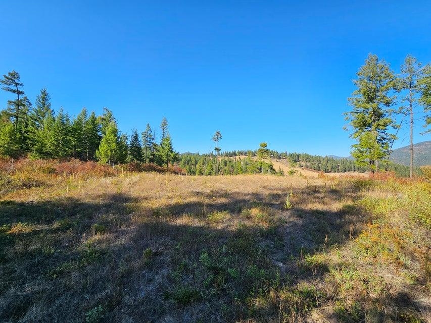 25-xx Burgess Road, Unit PARCEL B Addy, WA 99101 - Photo 18 of 27