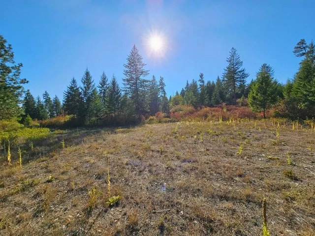 $149,900 | 25-xx Burgess Road, Unit PARCEL B, Addy, WA 99101