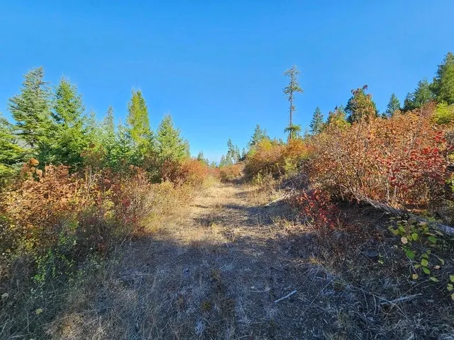 $149,900 | 25-xx Burgess Road, Unit PARCEL B, Addy, WA 99101