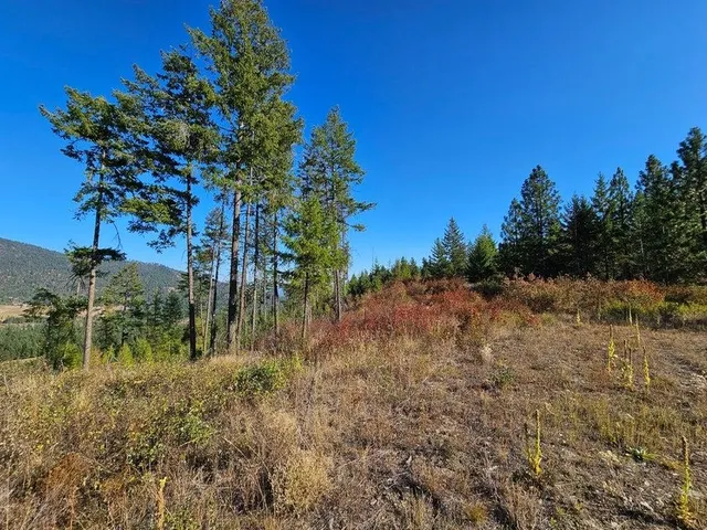 $149,900 | 25-xx Burgess Road, Unit PARCEL B, Addy, WA 99101