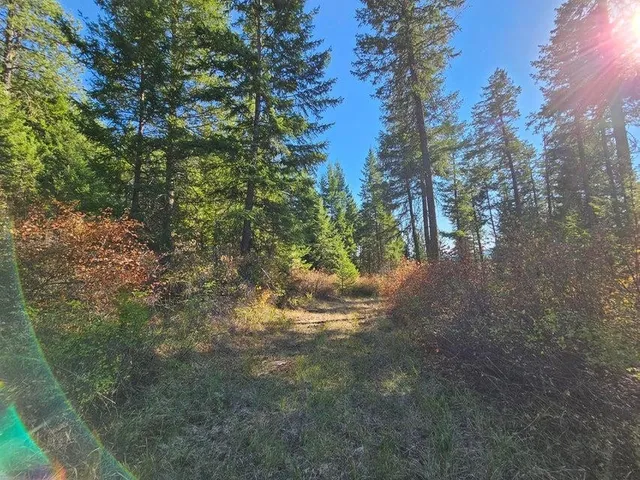 $149,900 | 25-xx Burgess Road, Unit PARCEL B, Addy, WA 99101