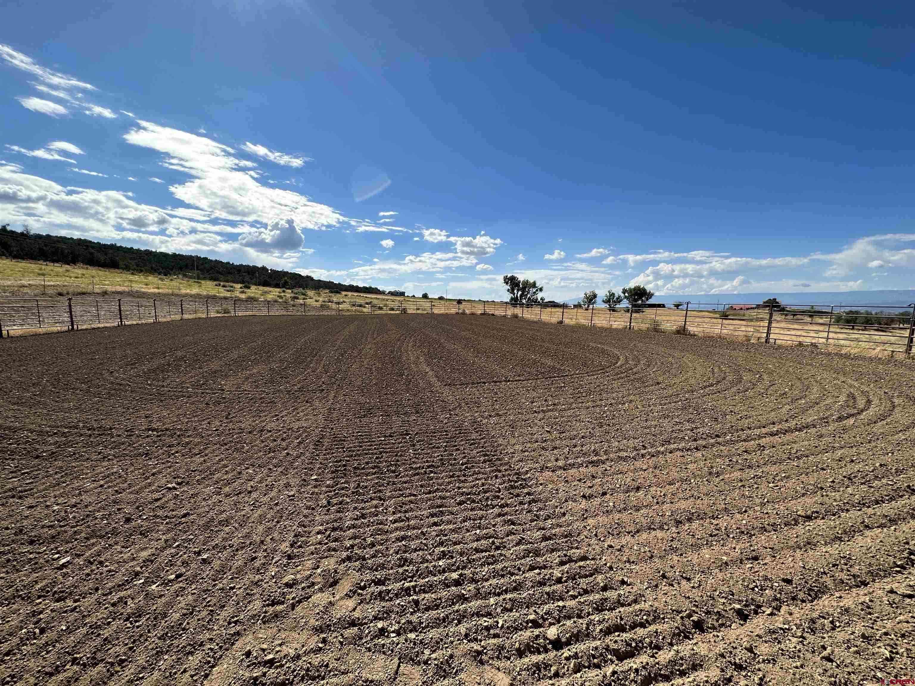 1190 7745 Road Crawford, CO 81415 - Photo 37 of 42