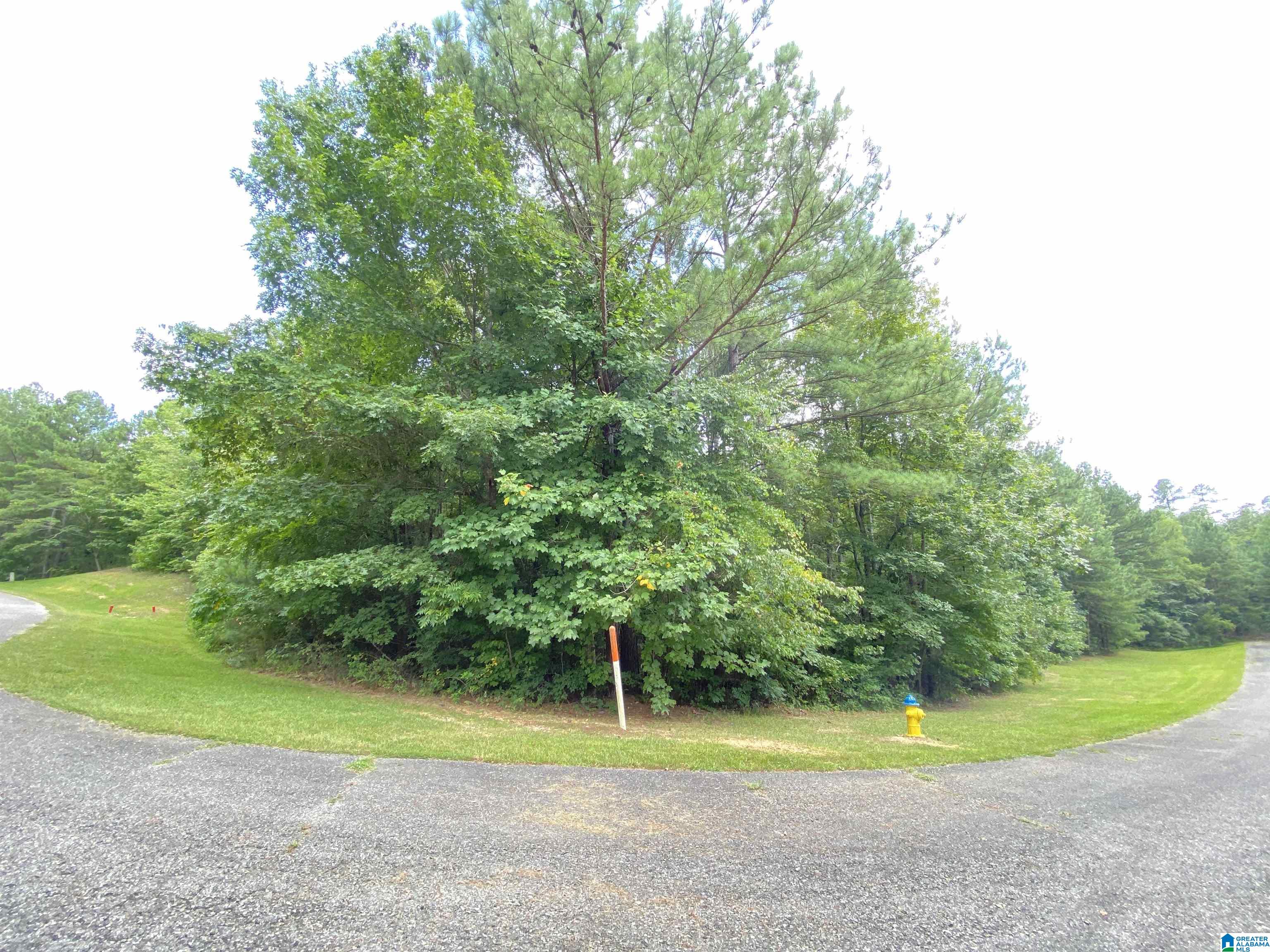969 Blue Ridge Way, Unit 45 Odenville, AL 35120 - Photo 5 of 12