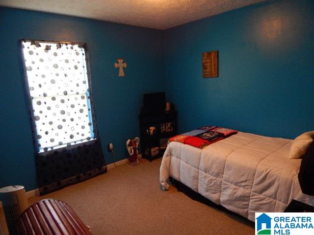 5300 Red Valley Road Remlap, AL 35133 - Photo 20 of 33