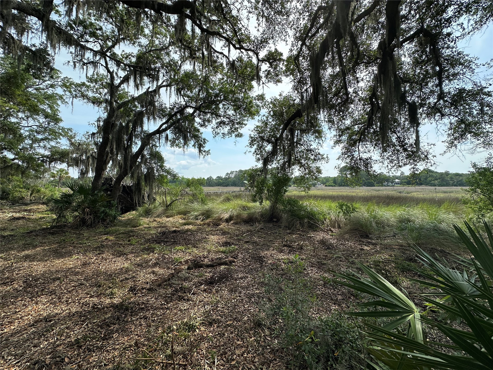 Barnwell Road Fernandina Beach, FL 32034 - Photo 5 of 22 Gallery Image 5