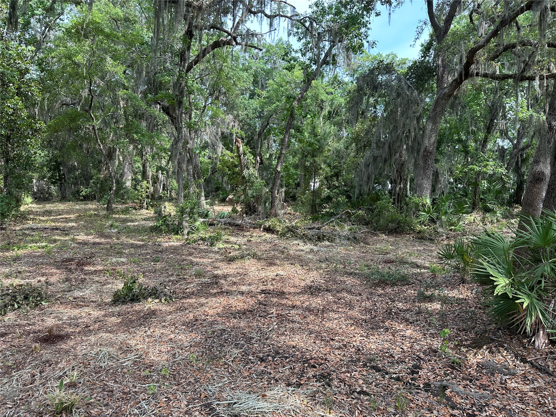 Barnwell Road Fernandina Beach, FL 32034 - Photo 8 of 22 Gallery Image 8