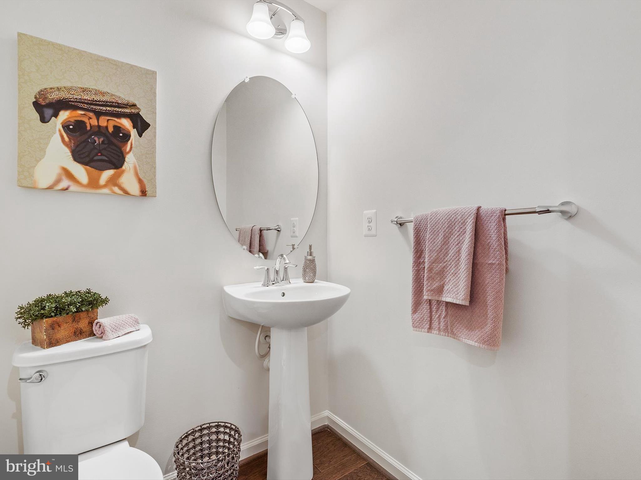 3058 Bretons Ridge Way Hanover, MD 21076 - Photo 33 of 43 a bathroom with a sink mirror and toilet