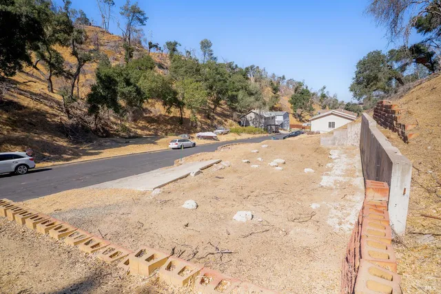 a view of a yard with plants and trees