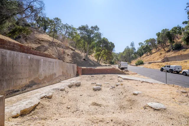 a view of a yard with a tree