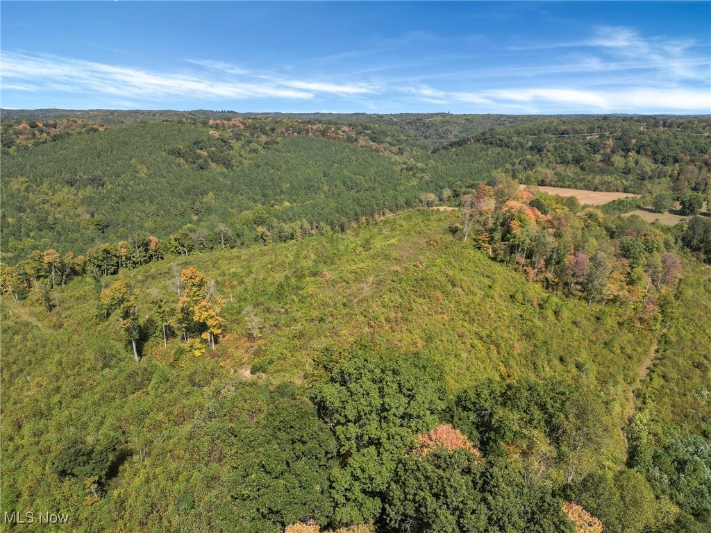 Brohard Road Chillicothe, OH 45601 - Photo 10 of 17 Drone / aerial view