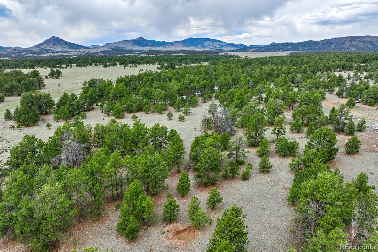 103 Doe Valley Road Guffey, CO 80820 - Photo 33 of 46