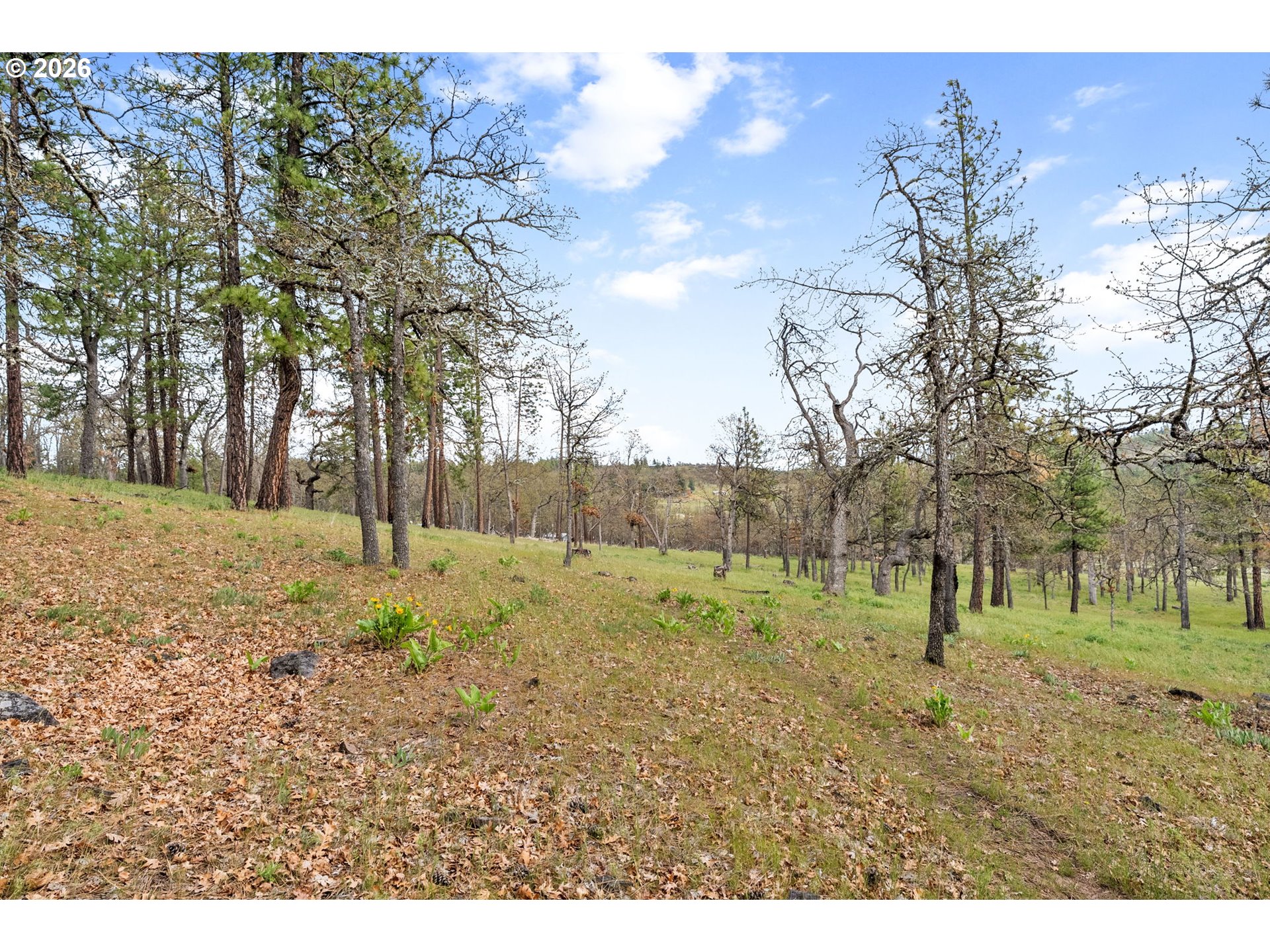 351 Woodland Road Goldendale, WA 98620 - Photo 11 of 47 Gallery Image 11