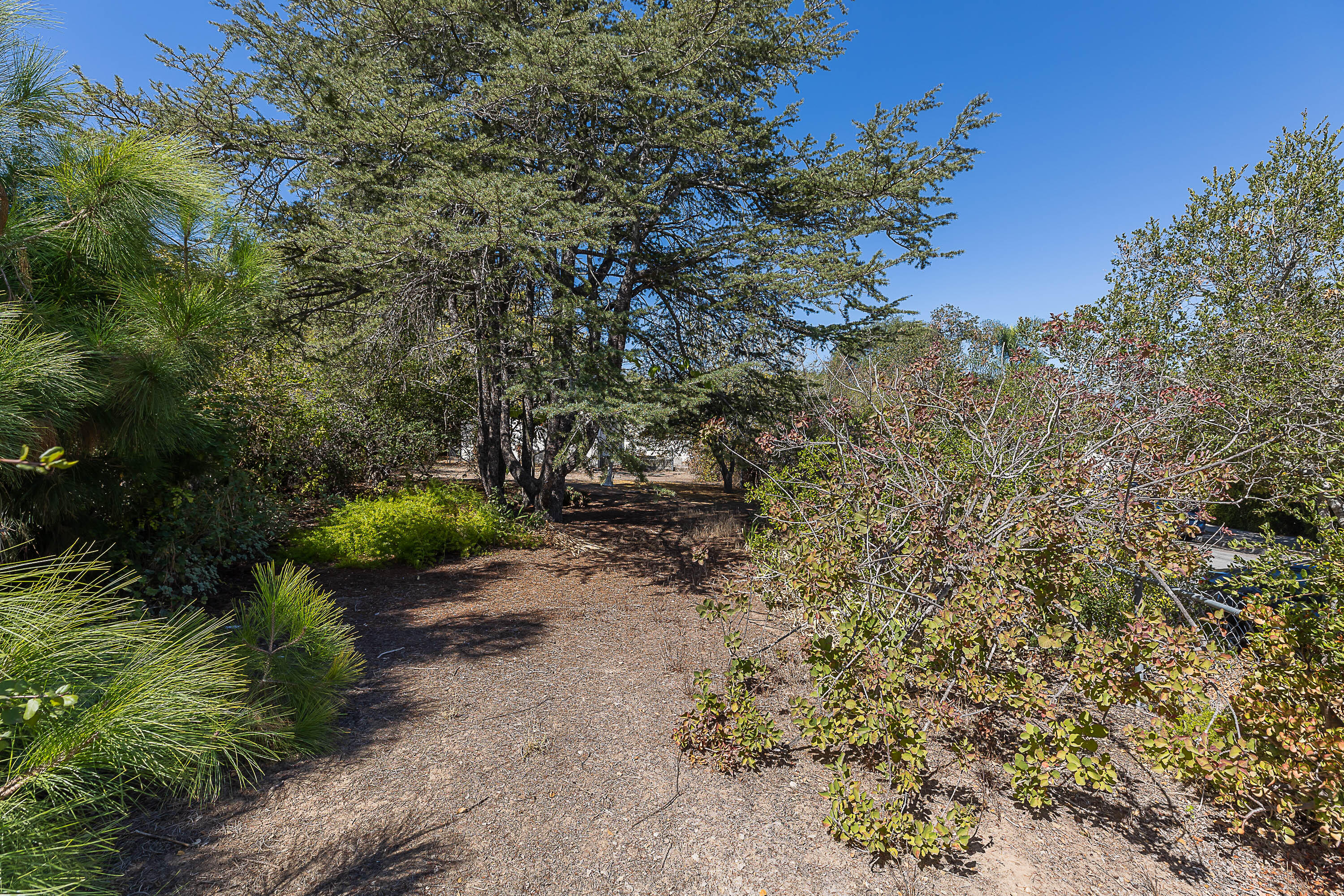 2937 Hermosa Road Santa Barbara, CA 93105 - Photo 15 of 20 2937-Hermosa-Road-19
