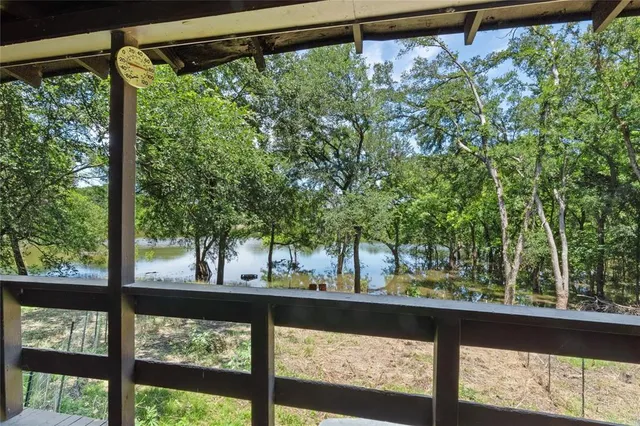 a view of a yard from a window
