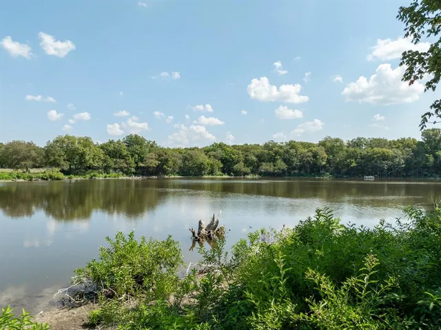 a view of a lake in middle of a forest