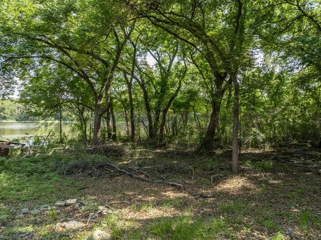 a big yard with lots of green space and trees all around