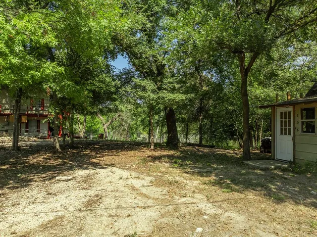a view of a yard with a tree