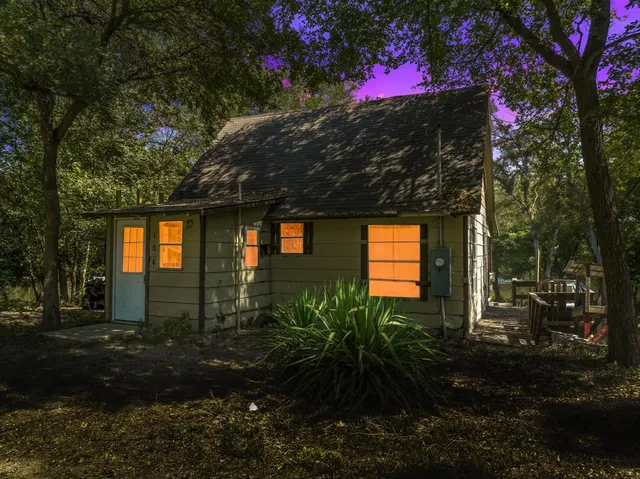 a picture of flowers