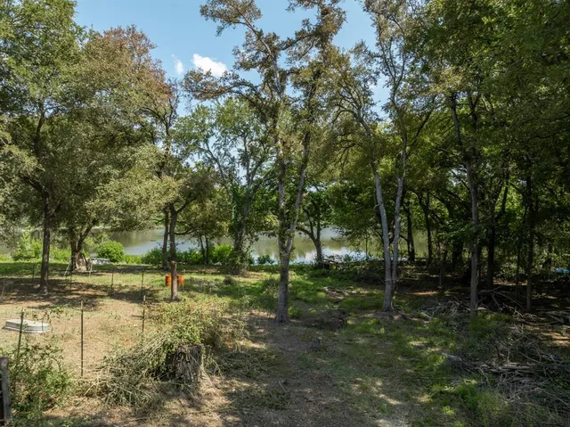a view of outdoor space with trees all around