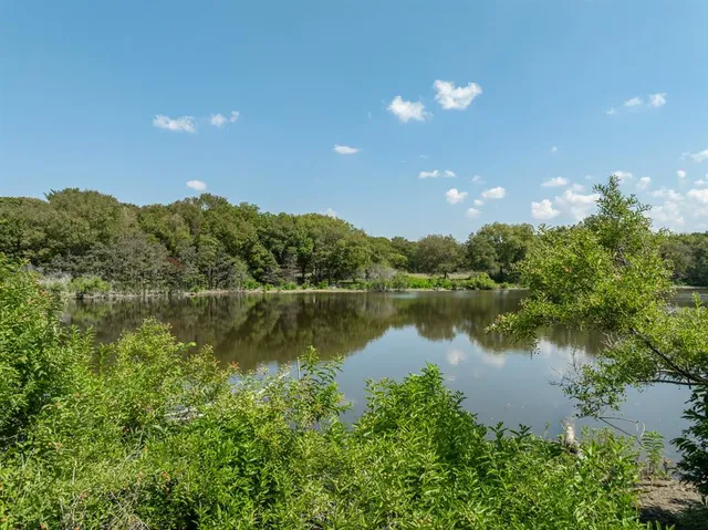 a view of a large body of water with a tree in the background