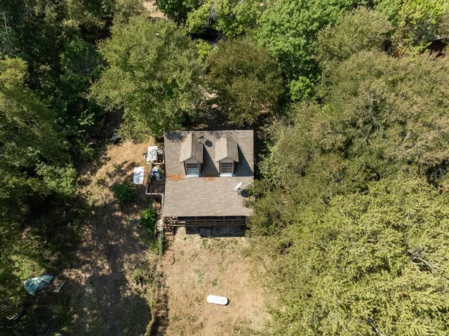 a roof deck with a tree