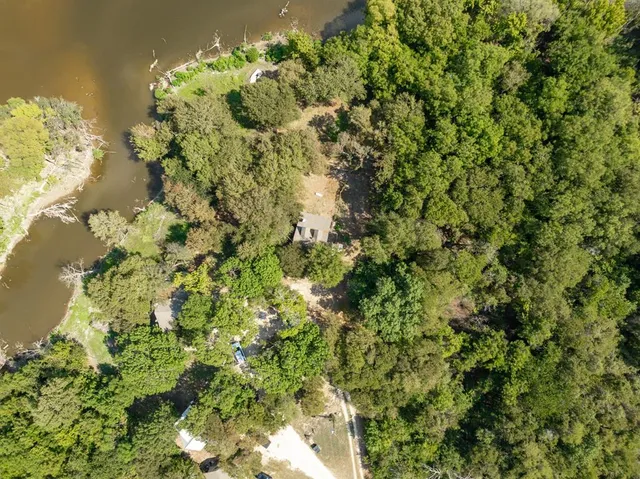 a close up of a plant