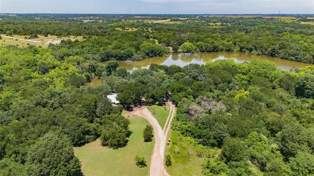 a view of a green yard with large trees