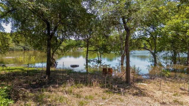 a view of a lake in between two large trees
