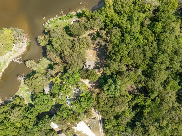 a close up of a plant