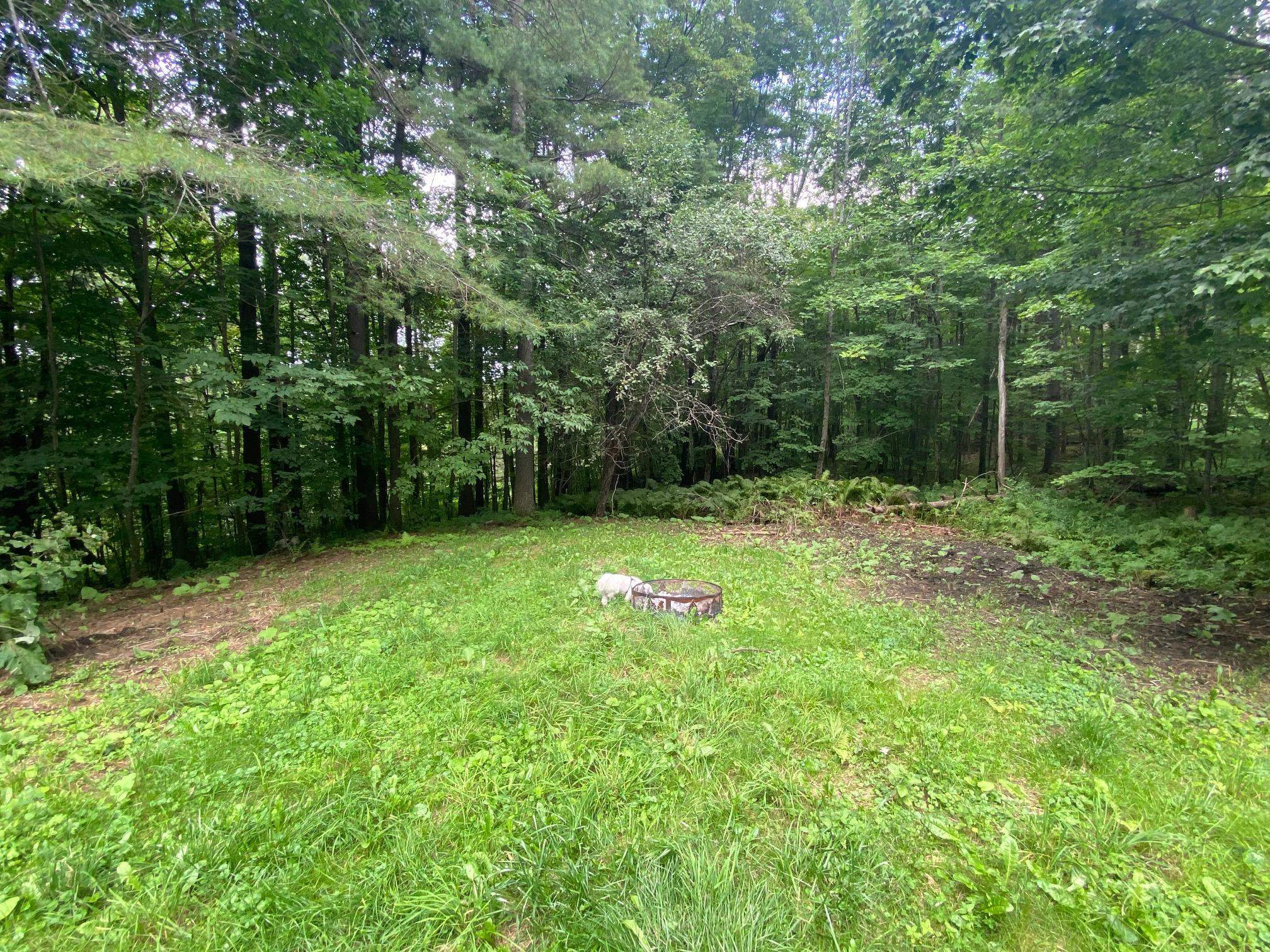 3235 East Hill Road Plainfield, VT 05667 - Photo 20 of 35