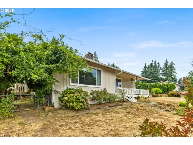 a backyard of a house with potted plants and large tree