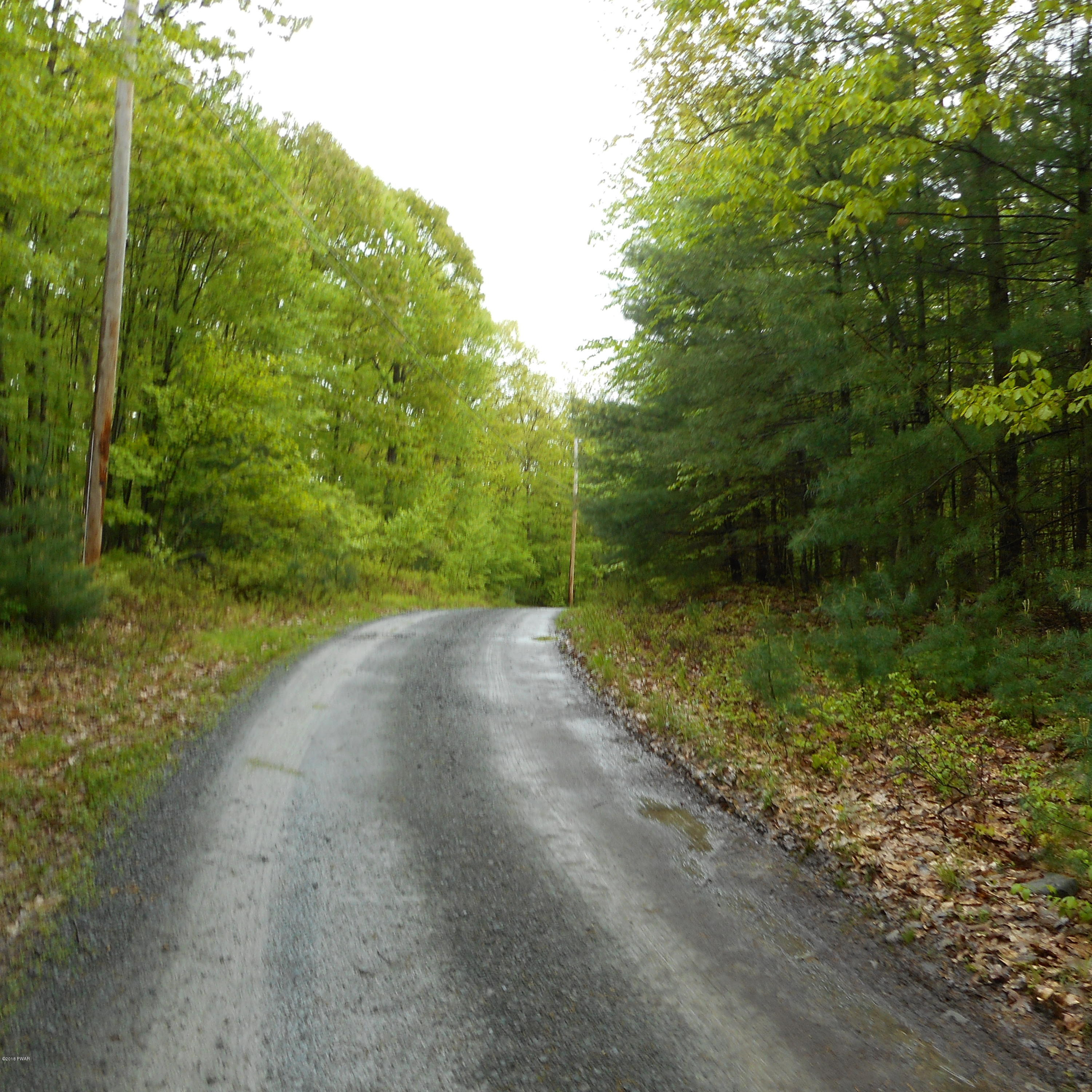 Hunters Lane Dingmans Ferry, PA 18328 - Photo 2 of 4