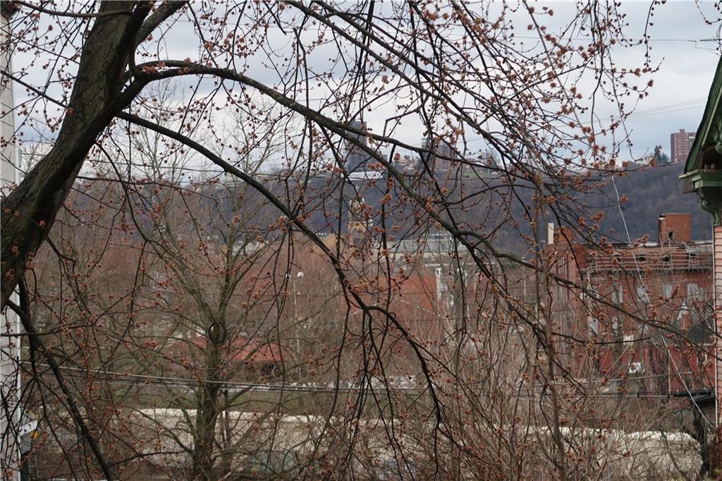 1310 Stranmore Street Pittsburgh, PA 15212 - Photo 3 of 12 a picture of tree