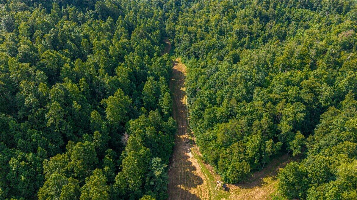 3357 Campton-Baptist Road Campton, KY 41301 - Photo 47 of 51 54-DJI_20260724170550_0203_D