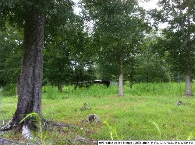 3507 Weiss Road Walker, LA 70785 - Photo 3 of 3