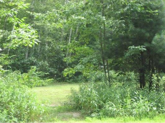 117 North Shore Road Derry, NH 03038 - Photo 2 of 4