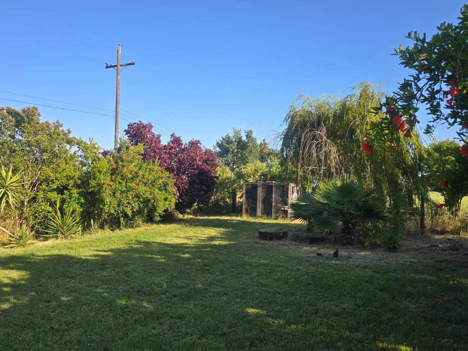 5206 East Jahant Road Acampo, CA 95220 - Photo 36 of 67