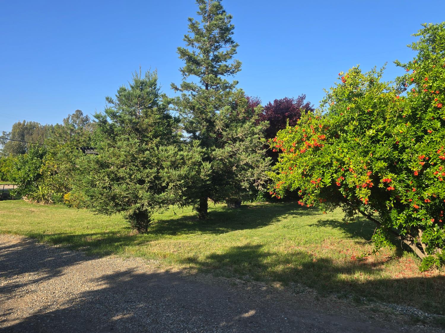 5206 East Jahant Road Acampo, CA 95220 - Photo 37 of 67