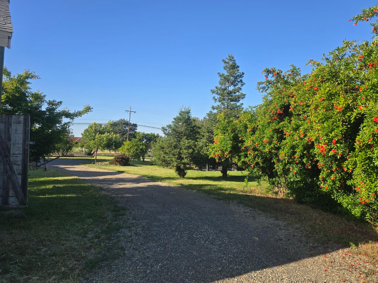 5206 East Jahant Road Acampo, CA 95220 - Photo 38 of 67