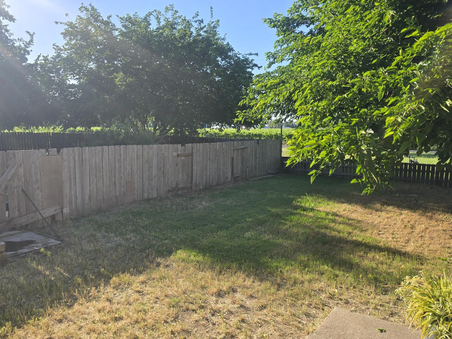 5206 East Jahant Road Acampo, CA 95220 - Photo 47 of 67