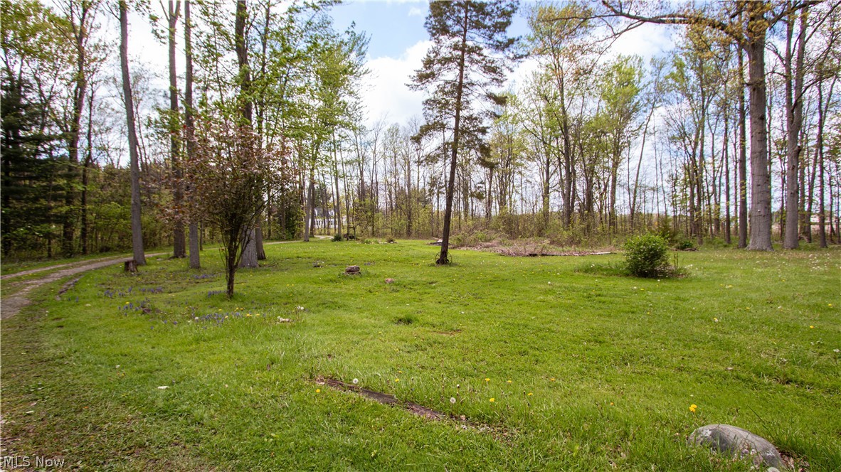 21193 Gore Orphanage Road Wellington, OH 44090 - Photo 20 of 22