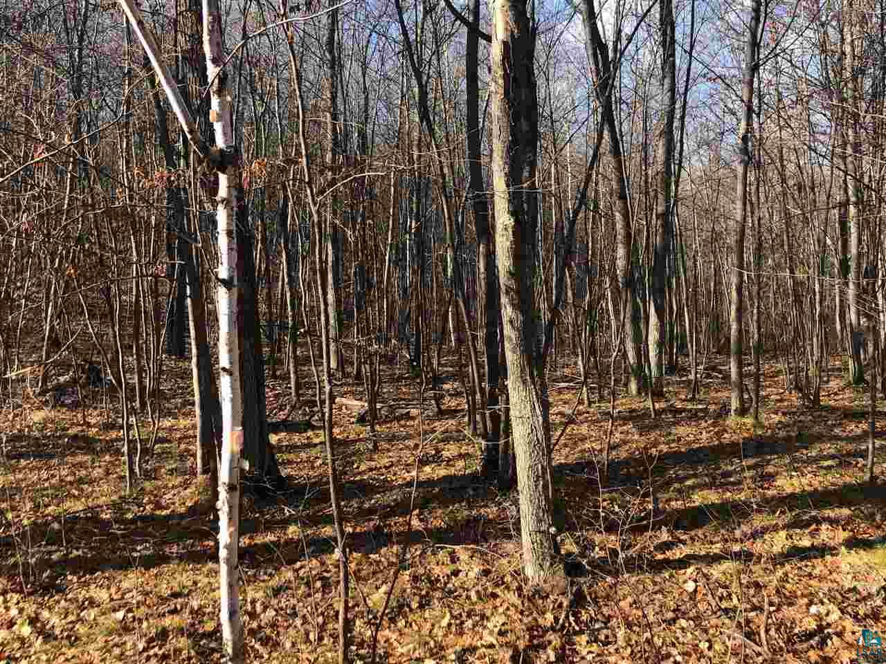 2 Topside Road Iron River, WI 54847 - Photo 2 of 4