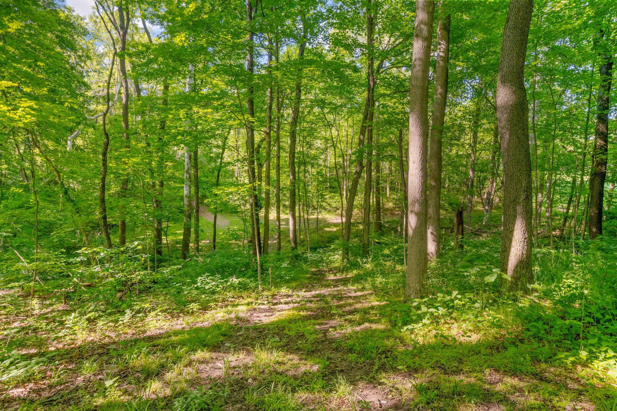 5516 Lancaster Road Hebron, OH 43025 - Photo 106 of 116 Woods